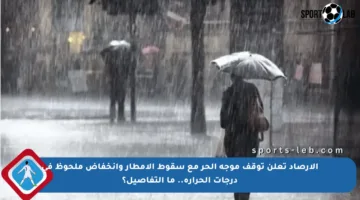 الأرصاد تعلن توقف موجة الحر مع سقوط الأمطار وانخفاض ملحوظ في درجات الحرارة.. ما التفاصيل؟